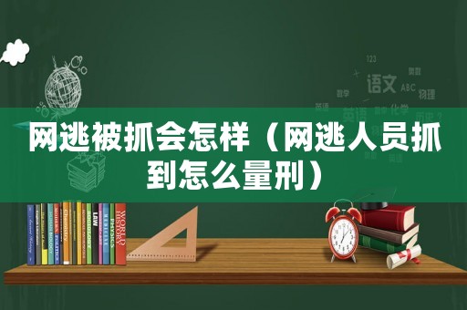 網逃被抓會怎樣（網逃人員抓到怎么量刑）