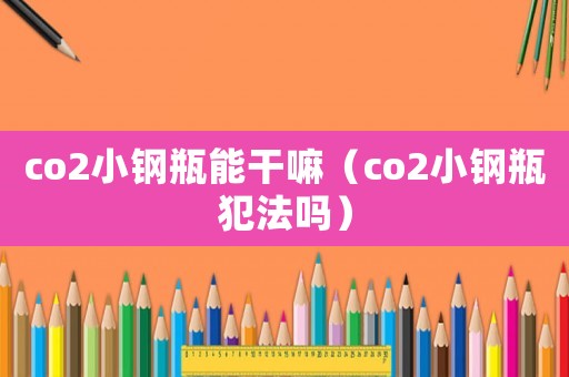 co2小鋼瓶能干嘛（co2小鋼瓶犯法嗎）