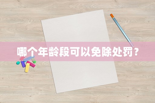 哪個年齡段可以免除處罰？