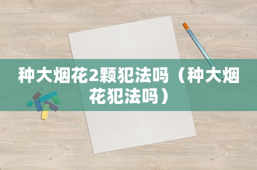 種大煙花2顆犯法嗎（種大煙花犯法嗎）
