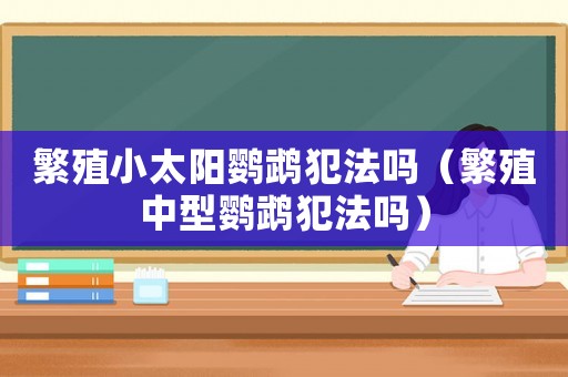 繁殖小太陽鸚鵡犯法嗎（繁殖中型鸚鵡犯法嗎）