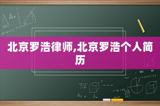 北京羅浩律師,北京羅浩個人簡歷