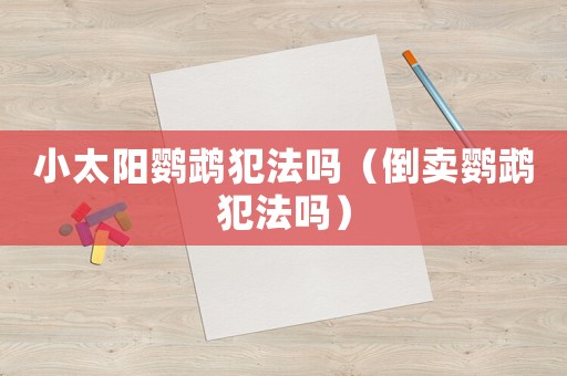 小太陽鸚鵡犯法嗎（倒賣鸚鵡犯法嗎）