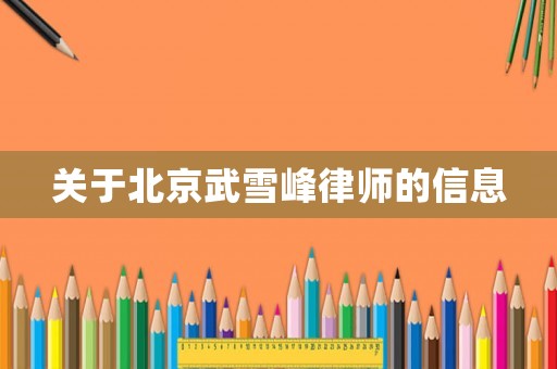 關于北京武雪峰律師的信息