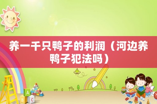 養一千只鴨子的利潤（河邊養鴨子犯法嗎）