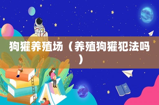 狗獾養(yǎng)殖場(chǎng)（養(yǎng)殖狗獾犯法嗎）