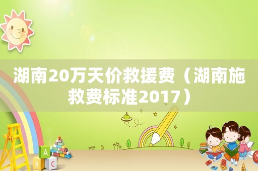 湖南20萬天價救援費（湖南施救費標準2017）