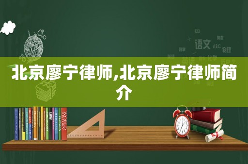 北京廖寧律師,北京廖寧律師簡介