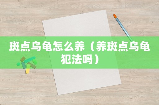 斑點(diǎn)烏龜怎么養(yǎng)（養(yǎng)斑點(diǎn)烏龜犯法嗎）