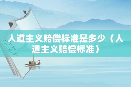 人道主義賠償標準是多少（人道主義賠償標準）