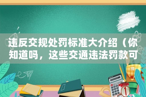 違反交規處罰標準大介紹（你知道嗎，這些交通違法罰款可不是鬧著玩的）