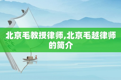 北京毛教授律師,北京毛越律師的簡介