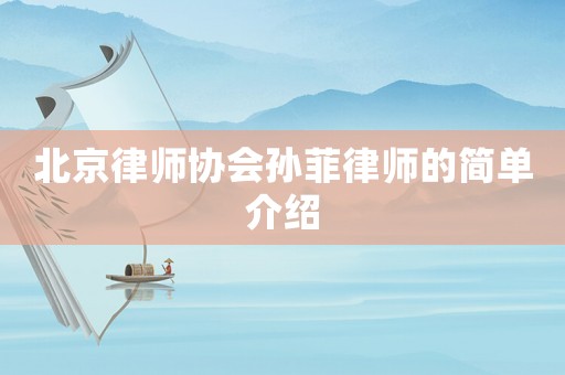 北京律師協(xié)會(huì)孫菲律師的簡單介紹