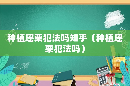 種植瑤栗犯法嗎知乎（種植瑤栗犯法嗎）