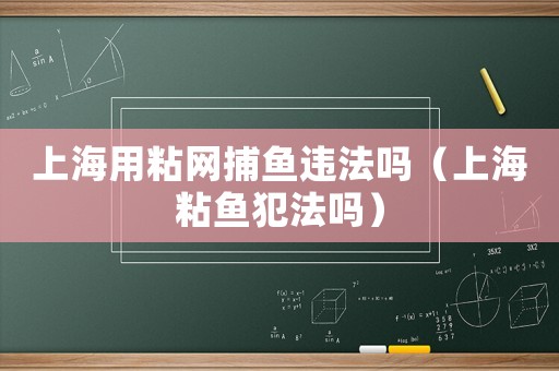 上海用粘網捕魚違法嗎（上海粘魚犯法嗎）
