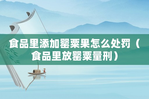 食品里添加罌粟果怎么處罰（食品里放罌粟量刑）