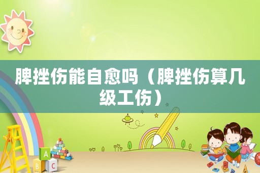 脾挫傷能自愈嗎（脾挫傷算幾級工傷）