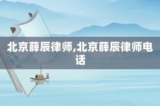 北京薛辰律師,北京薛辰律師電話