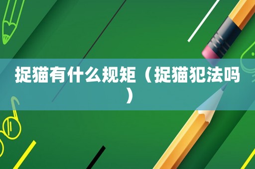 捉貓有什么規矩（捉貓犯法嗎）