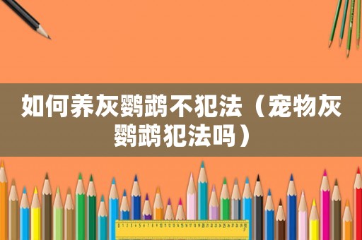 如何養灰鸚鵡不犯法（寵物灰鸚鵡犯法嗎）