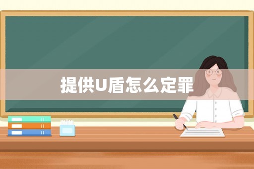 提供U盾怎么定罪