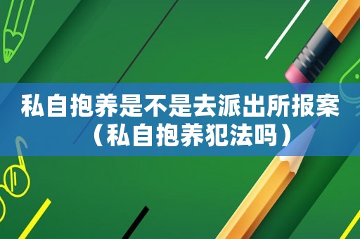 私自抱養(yǎng)是不是去派出所報(bào)案（私自抱養(yǎng)犯法嗎）