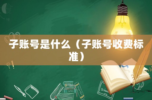 子賬號是什么（子賬號收費標準）