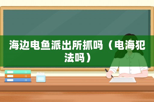 海邊電魚派出所抓嗎（電海犯法嗎）
