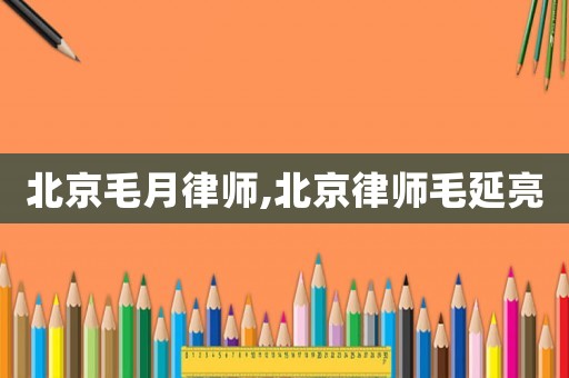 北京毛月律師,北京律師毛延亮