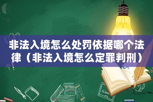 非法入境怎么處罰依據哪個法律（非法入境怎么定罪判刑）