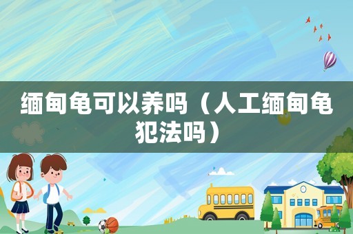緬甸龜可以養嗎（人工緬甸龜犯法嗎）