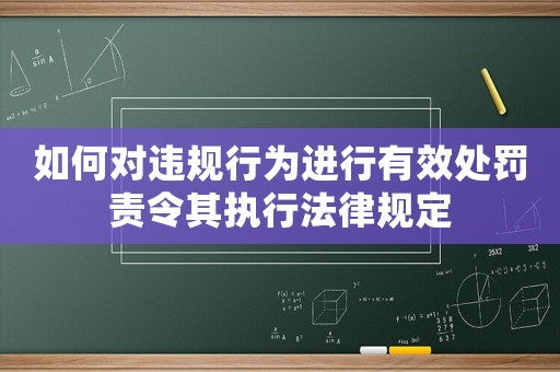 如何對違規(guī)行為進行有效處罰責令其執(zhí)行法律規(guī)定