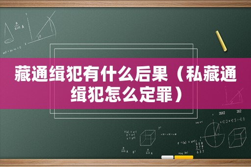 藏通緝犯有什么后果（私藏通緝犯怎么定罪）