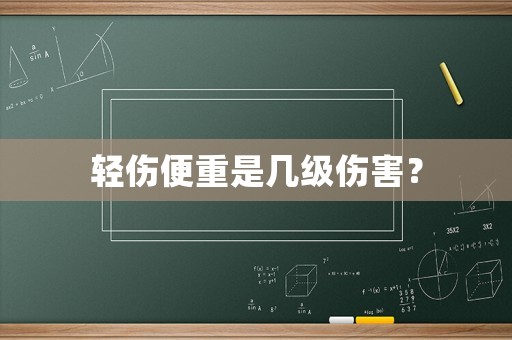 輕傷便重是幾級傷害？