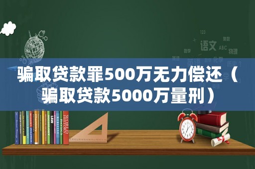 騙取貸款罪500萬無力償還（騙取貸款5000萬量刑）