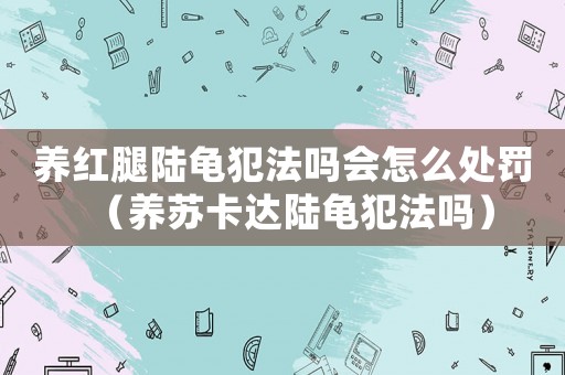 養紅腿陸龜犯法嗎會怎么處罰（養蘇卡達陸龜犯法嗎）