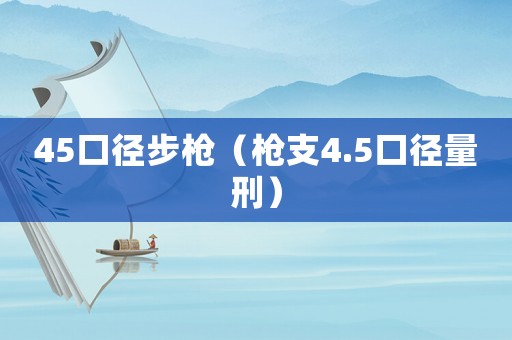 45口徑步槍（槍支4.5口徑量刑）