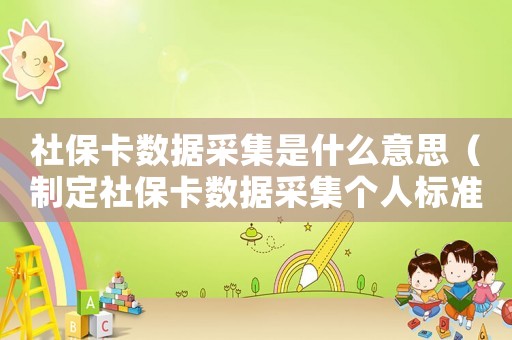 社保卡數(shù)據(jù)采集是什么意思（制定社保卡數(shù)據(jù)采集個人標準）