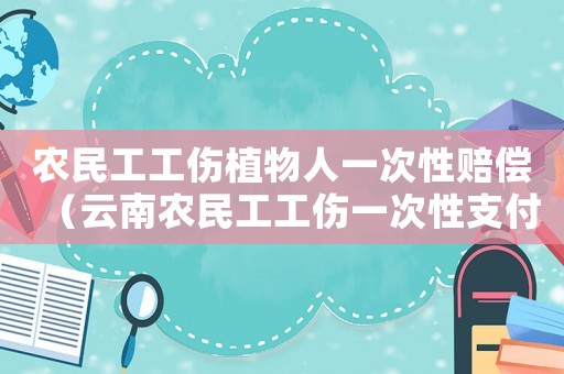 農民工工傷植物人一次性賠償（云南農民工工傷一次性支付辦法）