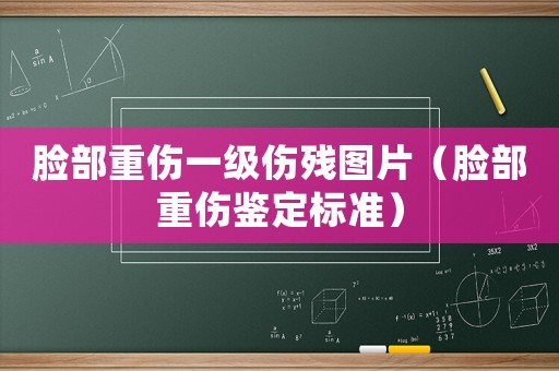 臉部重傷一級(jí)傷殘圖片（臉部重傷鑒定標(biāo)準(zhǔn)）