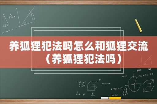 養狐貍犯法嗎怎么和狐貍交流（養狐貍犯法嗎）