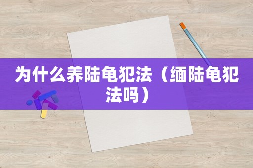 為什么養陸龜犯法（緬陸龜犯法嗎）