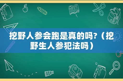 挖野人參會跑是真的嗎?（挖野生人參犯法嗎）