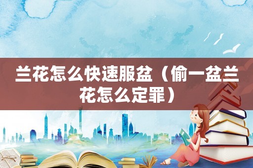 蘭花怎么快速服盆（偷一盆蘭花怎么定罪）