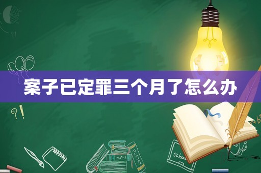案子已定罪三個月了怎么辦