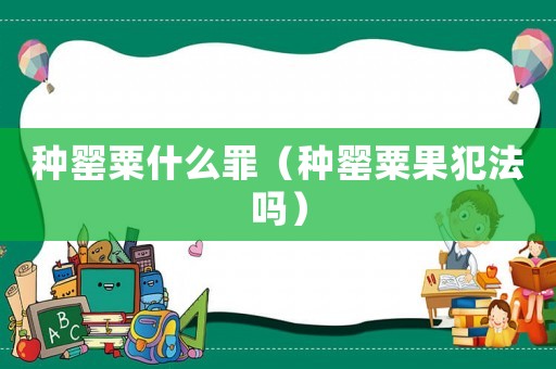 種罌粟什么罪（種罌粟果犯法嗎）