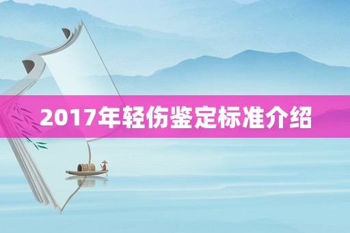 2017年輕傷鑒定標準介紹
