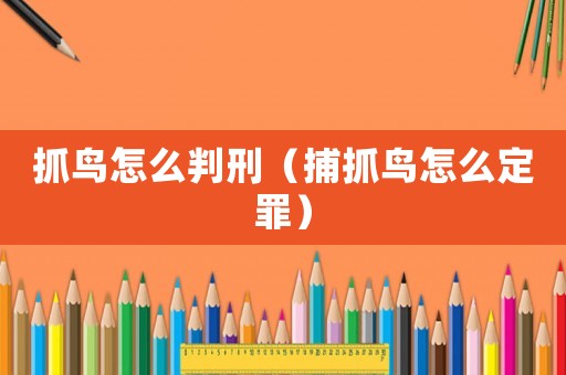 抓鳥怎么判刑（捕抓鳥怎么定罪）