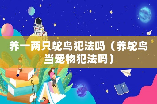 養(yǎng)一兩只鴕鳥犯法嗎（養(yǎng)鴕鳥當寵物犯法嗎）