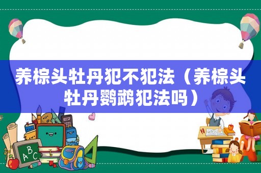 養棕頭牡丹犯不犯法（養棕頭牡丹鸚鵡犯法嗎）